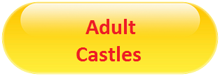 link to adult bouncy castle hire