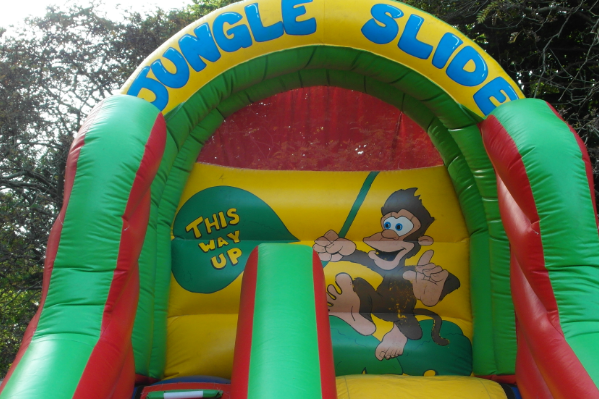 Jungle Slide large 5